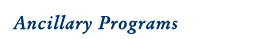 Ancillary Programs